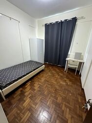 Novena Lodge (D11), Condominium #539186181